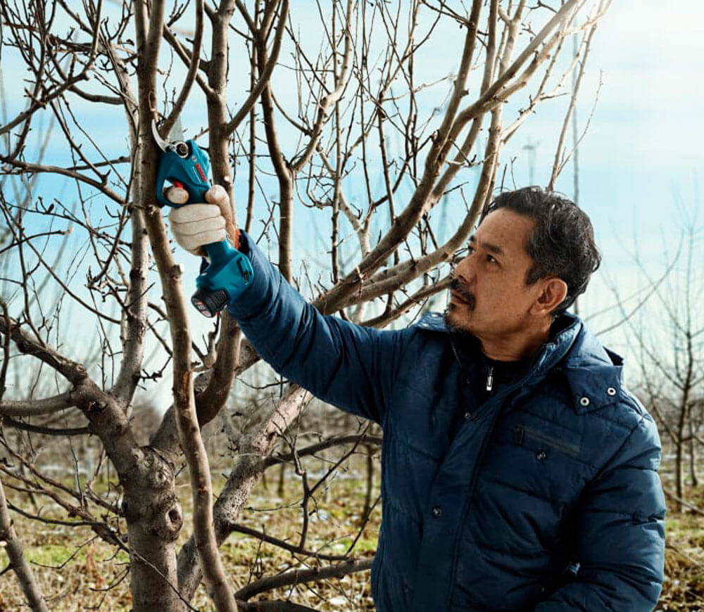 Ножницы аккумуляторные BOSCH Pro Pruner (6019K1021) 12В 3Ач photo 2