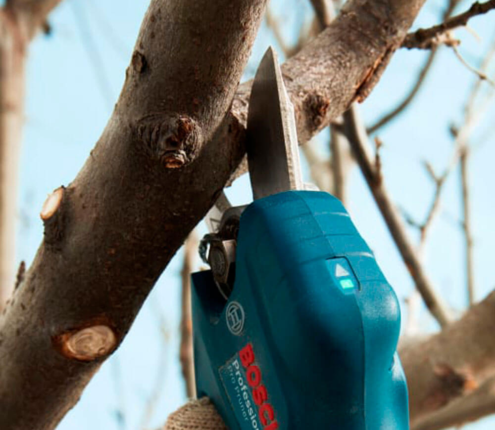 Ножницы аккумуляторные BOSCH Pro Pruner (6019K1021) 12В 3Ач photo 4