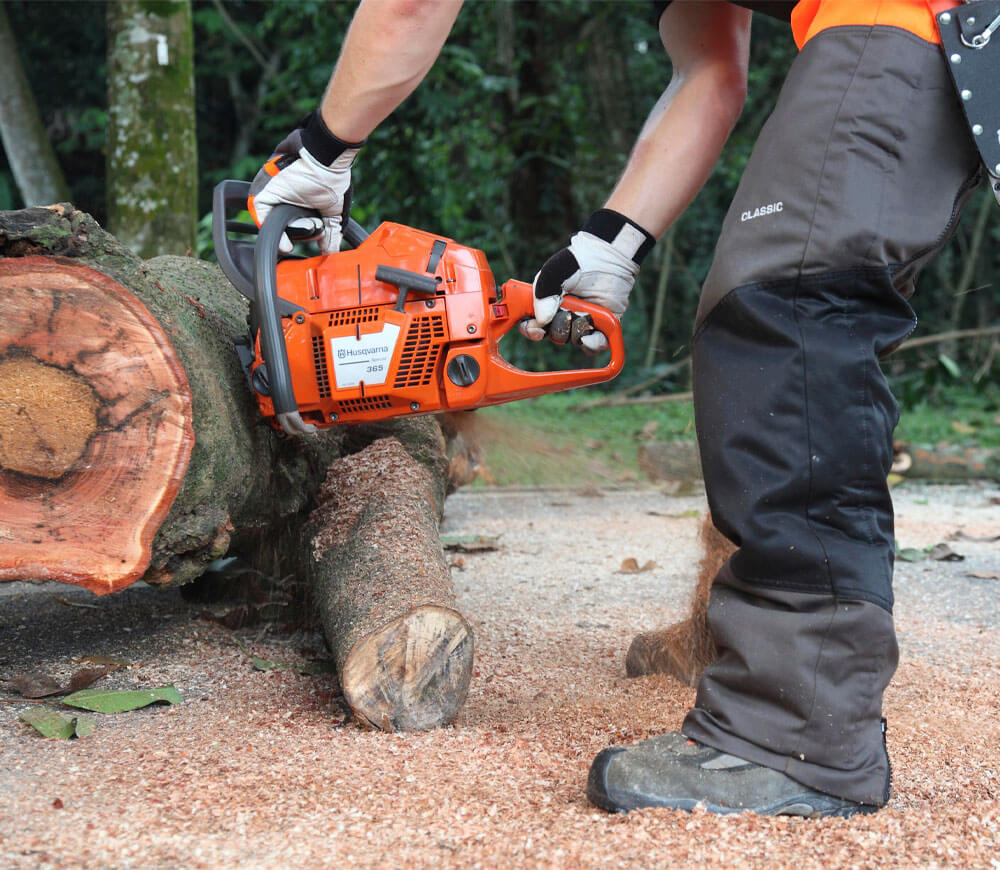 Цепная пила бензиновая Husqvarna 365 (C967082818) 450мм 65.1см3 photo 7