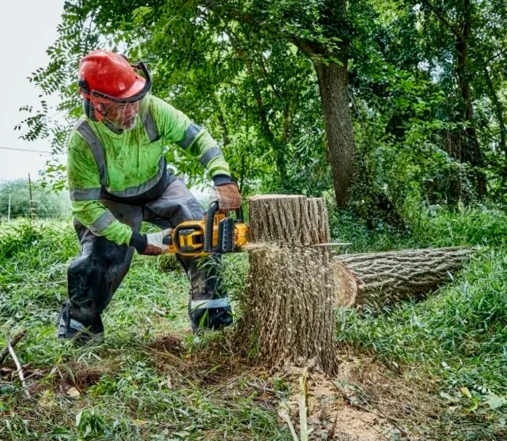 Цепная пила аккумуляторная Dewalt DCMCS574X1-QW 450мм 54В  9Ач photo 6