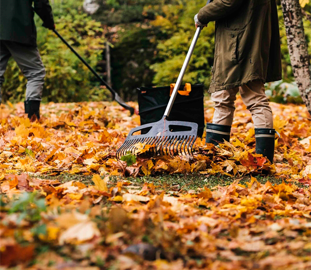 Грабли для газонов FISKARS Xact XL 1765мм 490мм photo 1