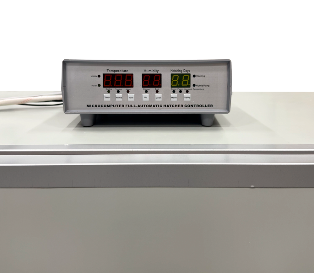Incubator Demetra DM-240 240 de ouă photo 3