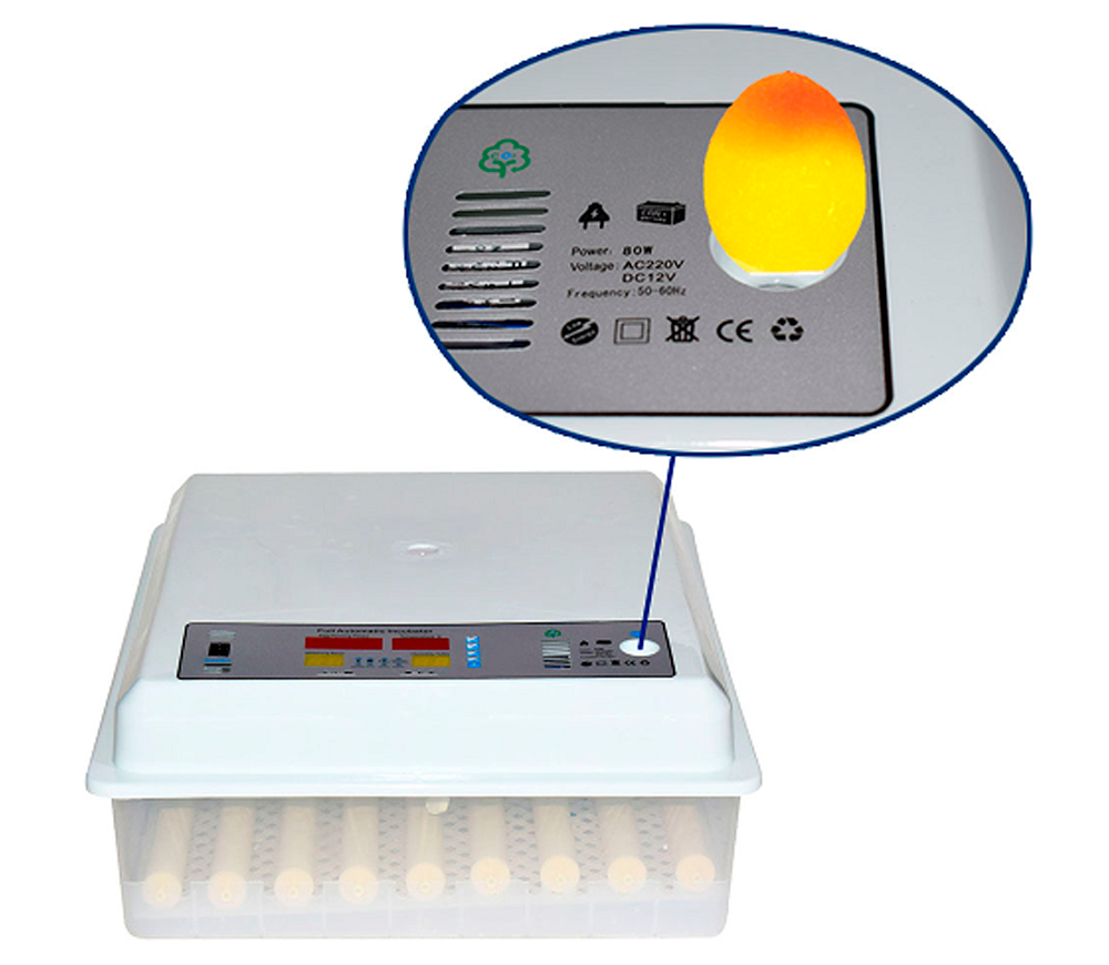 Incubator Demetra DM-64 64 de ouă photo 5