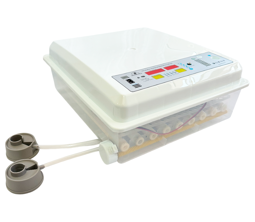 Incubator Demetra DM-64 64 de ouă photo