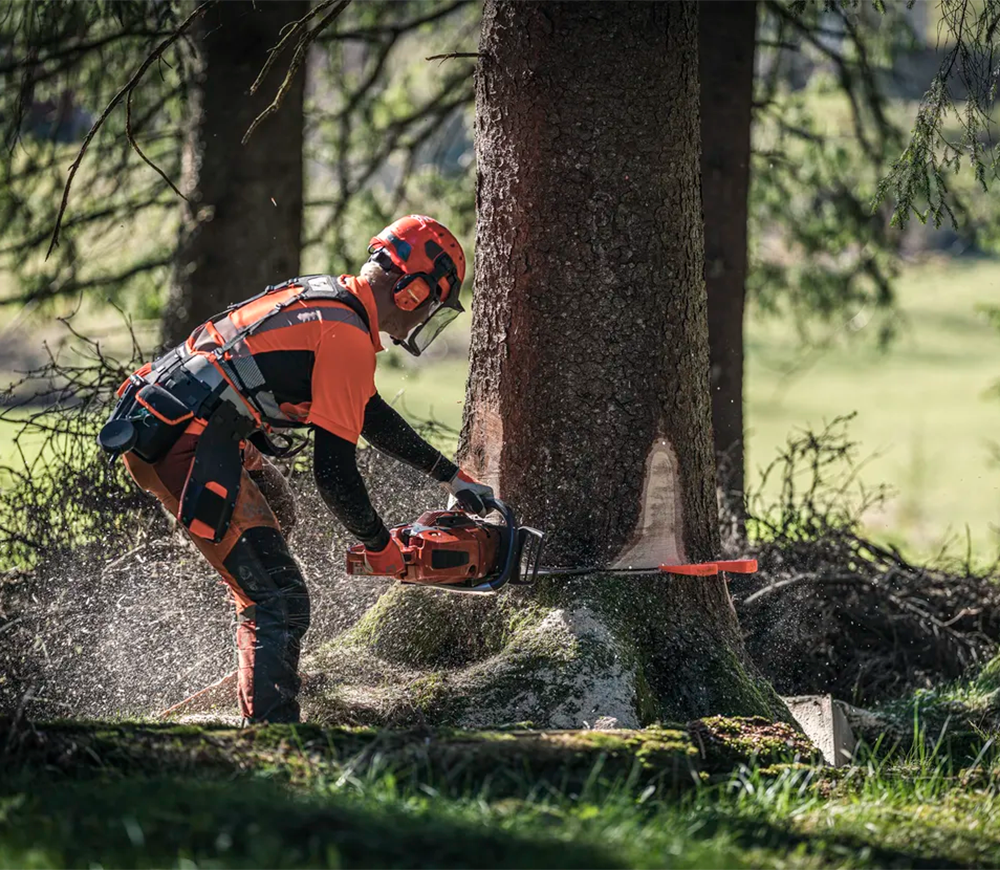 Цепная пила бензиновая Husqvarna 572XP 450мм 70.6см3 photo 1