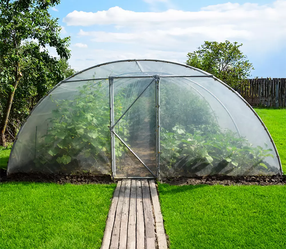 Seră arcuită Demetra 8x4.5x2.5 m 36m² Alb photo 1