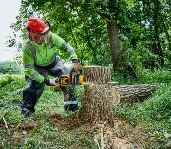 Цепная пила аккумуляторная Dewalt DCMCS574X1-QW 450мм 54В  9Ач photo 6
