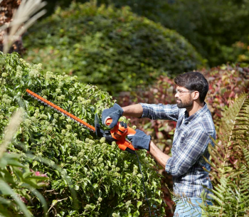 Кусторез электрический BLACK&DECKER BEHT201 420вт 450мм photo 2