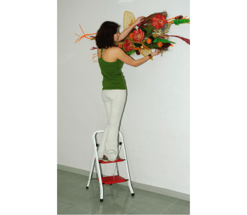 Scară unilaterală ELKOP ORW 2 0.45m 150kg photo 1