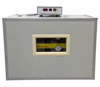 Инкубатор Demetra DM-240 240 яйц photo