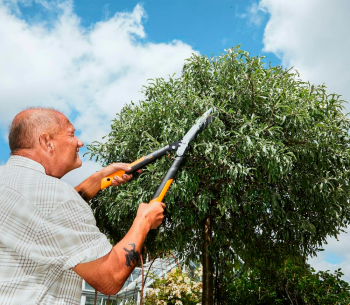 Кусторез FISKARS PowerGear HSX92 665мм photo 1