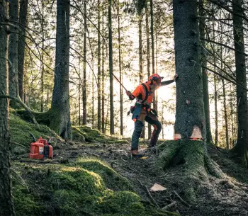 Fierăstrău cu lanț pe benzină Husqvarna 572XP 450mm 70.6cm3 photo 4